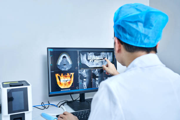 Best Emergency X-Rays and Diagnostics in Perham, MN